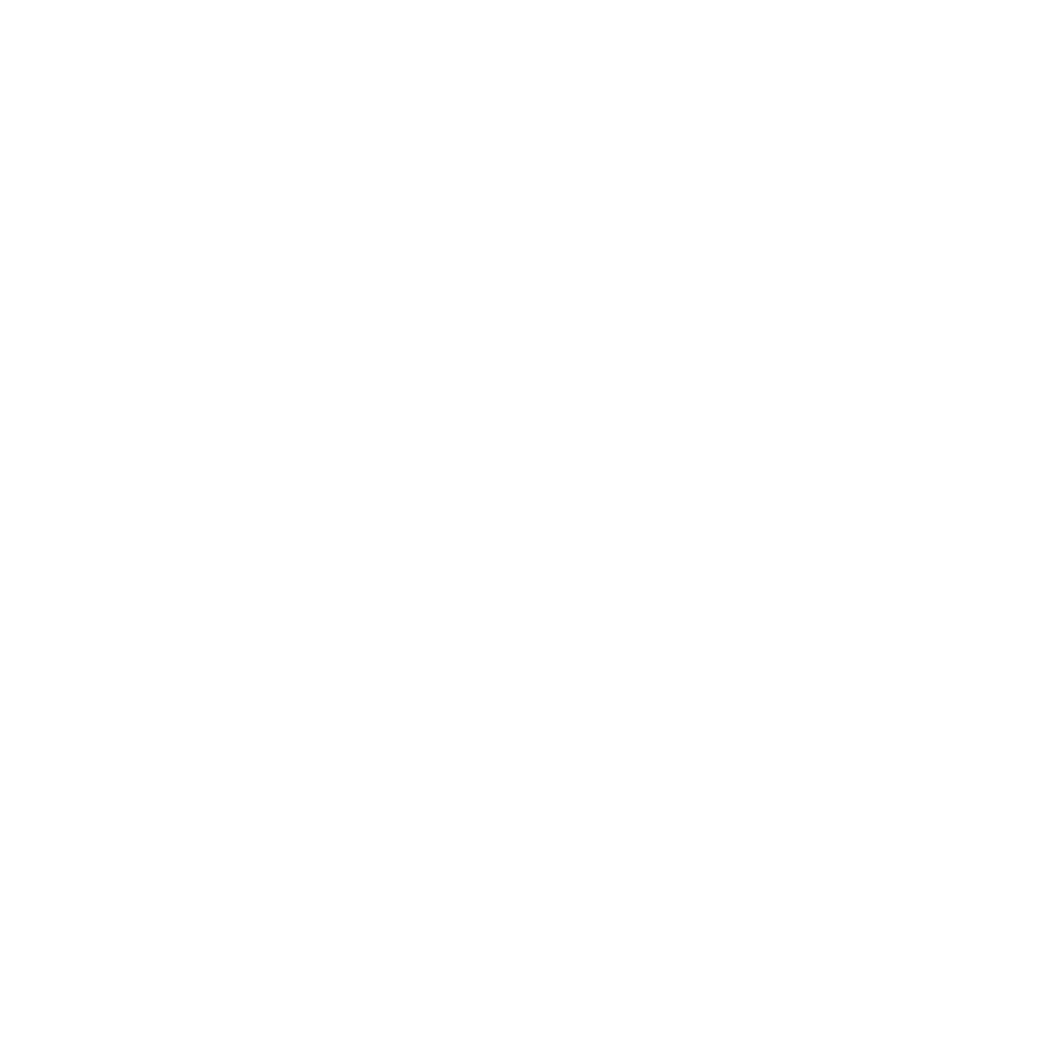 National Science Foundation Logo